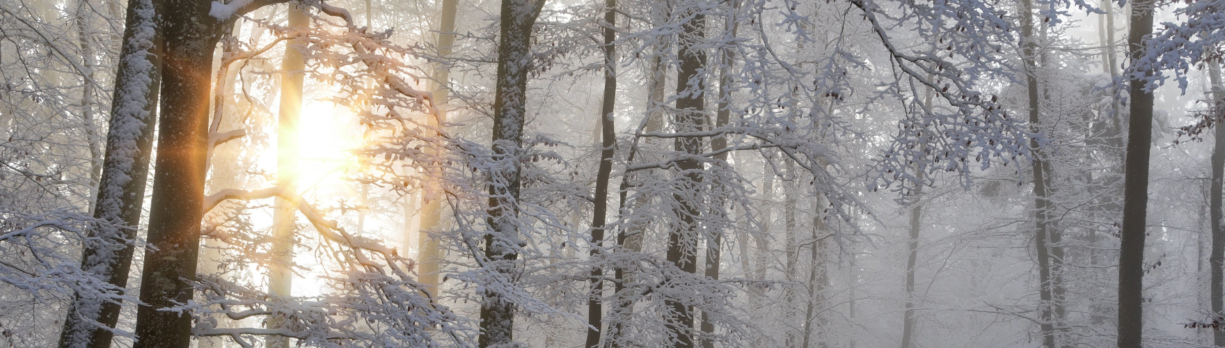 UPOZORNĚNÍ - omezení provozu 20. 12. 2025 - 4. 1. 2026